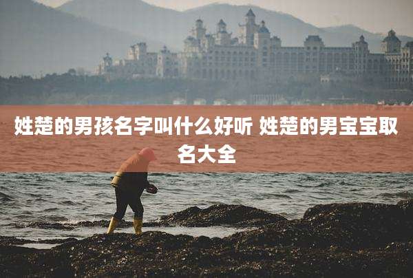 姓楚的男孩名字叫什么好听 姓楚的男宝宝取名大全
