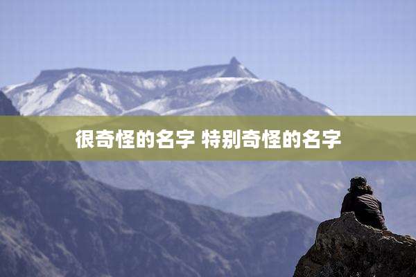 很奇怪的名字 特别奇怪的名字