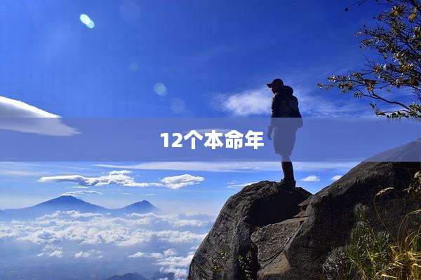 12个本命年