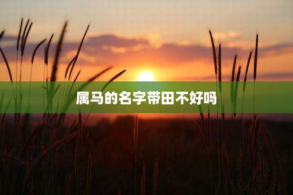 属马的名字带田不好吗