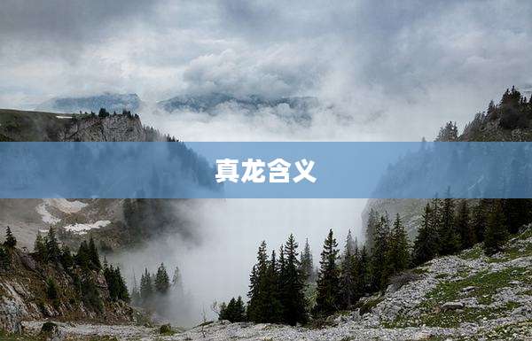 真龙含义