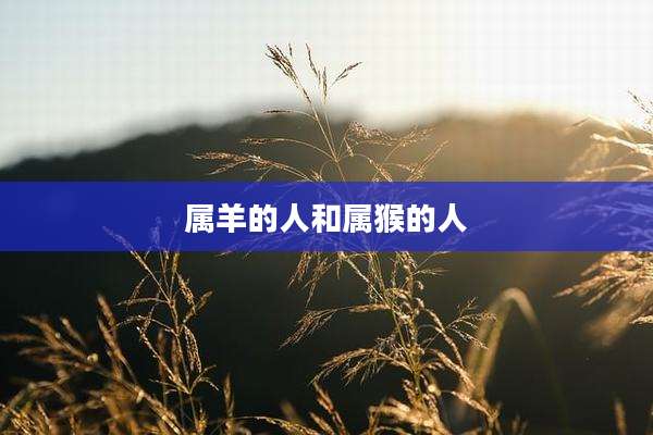 属羊的人和属猴的人
