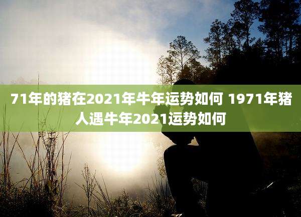 71年的猪在2021年牛年运势如何 1971年猪人遇牛年2021运势如何