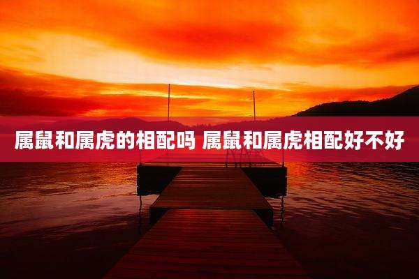 属鼠和属虎的相配吗 属鼠和属虎相配好不好