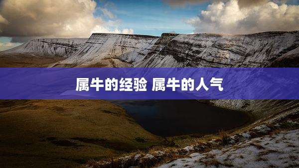 属牛的经验 属牛的人气