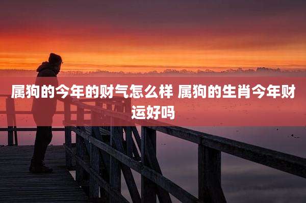 属狗的今年的财气怎么样 属狗的生肖今年财运好吗