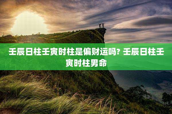 壬辰日柱壬寅时柱是偏财运吗? 壬辰日柱壬寅时柱男命