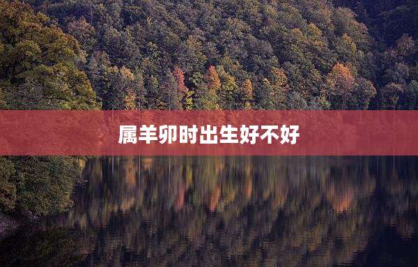 属羊卯时出生好不好