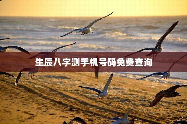 生辰八字测手机号码免费查询