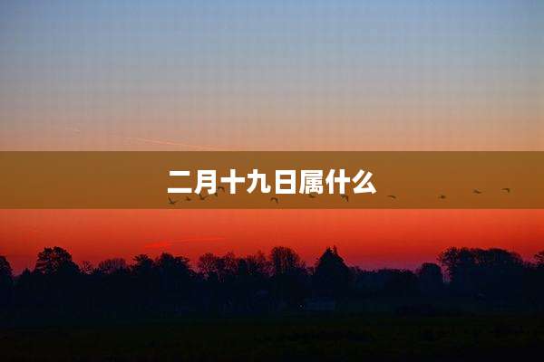 二月十九日属什么