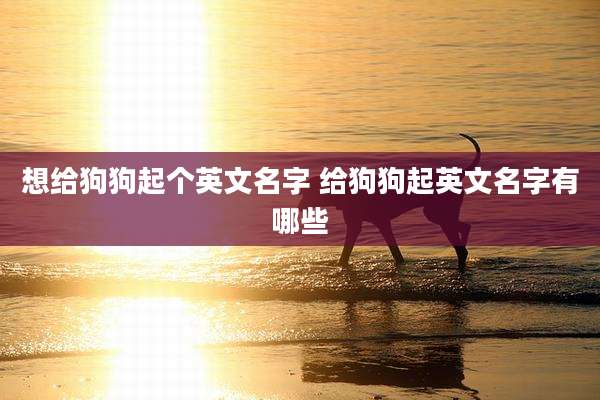 想给狗狗起个英文名字 给狗狗起英文名字有哪些