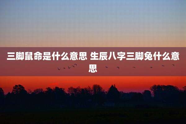 三脚鼠命是什么意思 生辰八字三脚兔什么意思