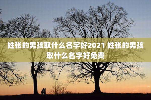 姓张的男孩取什么名字好2021 姓张的男孩取什么名字好免费