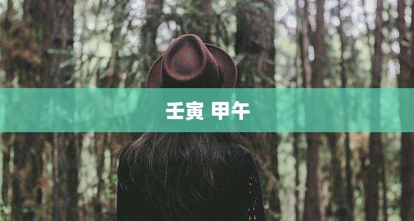 壬寅 甲午
