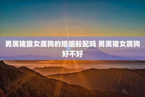 男属猪跟女属狗的婚姻般配吗 男属猪女属狗好不好