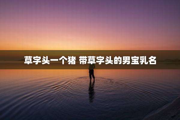 草字头一个猪 带草字头的男宝乳名