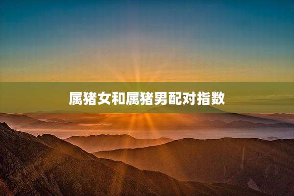 属猪女和属猪男配对指数