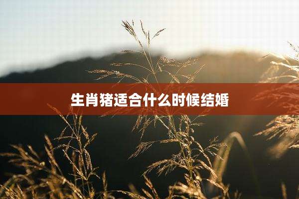 生肖猪适合什么时候结婚