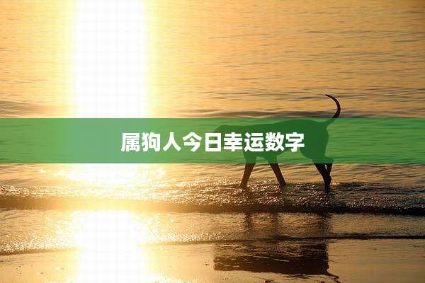 属狗人今日幸运数字