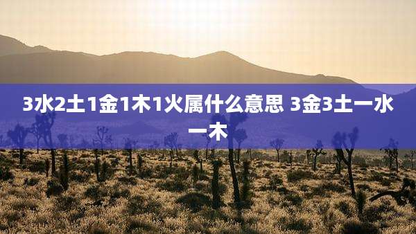 3水2土1金1木1火属什么意思 3金3土一水一木