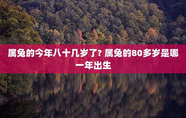 属兔的今年八十几岁了? 属兔的80多岁是哪一年出生