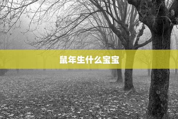 鼠年生什么宝宝