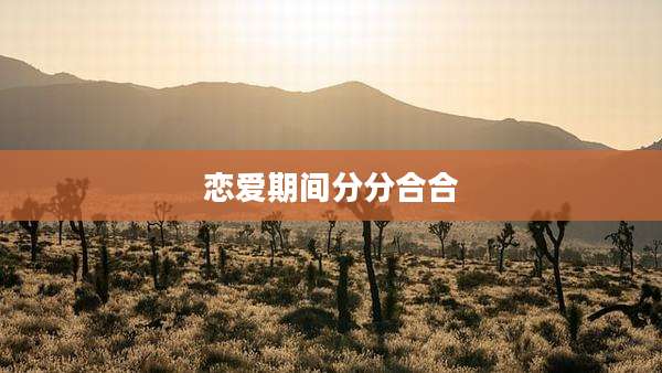 恋爱期间分分合合