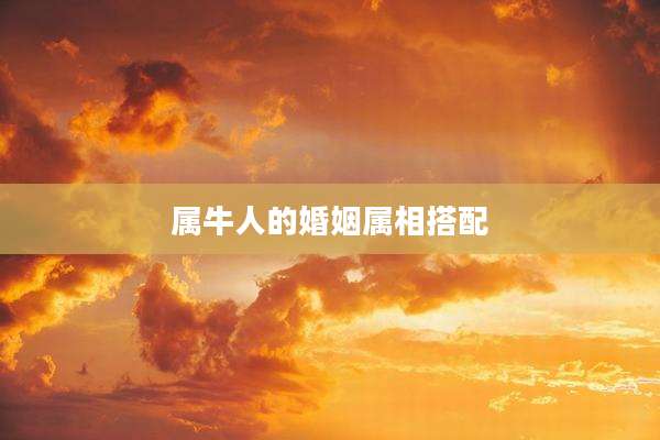 属牛人的婚姻属相搭配