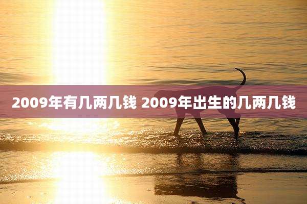 2009年有几两几钱 2009年出生的几两几钱