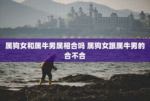 属狗女和属牛男属相合吗 属狗女跟属牛男的合不合