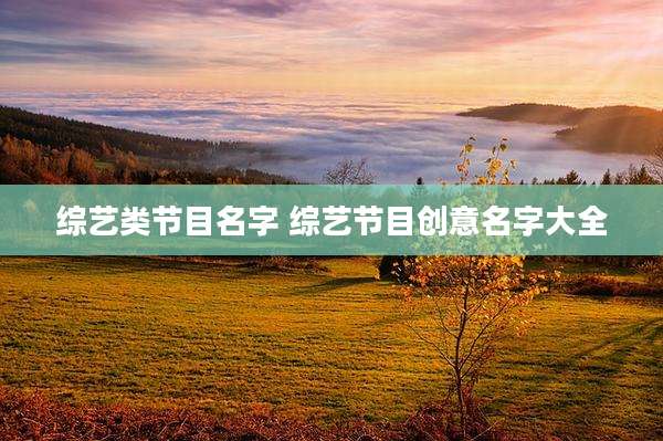 综艺类节目名字 综艺节目创意名字大全