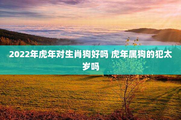 2022年虎年对生肖狗好吗 虎年属狗的犯太岁吗