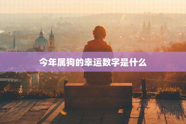 今年属狗的幸运数字是什么