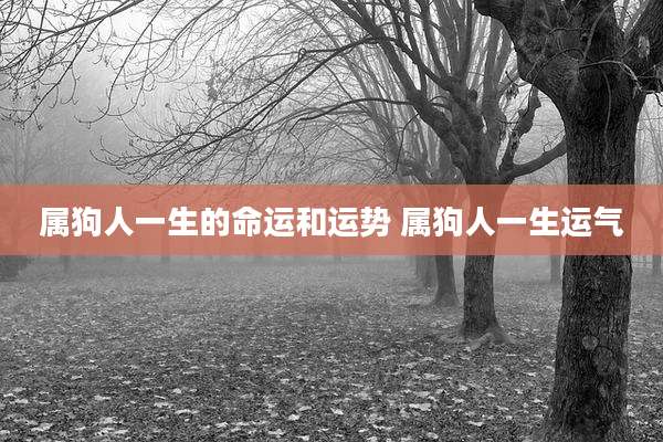 属狗人一生的命运和运势 属狗人一生运气