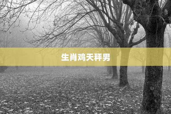生肖鸡天秤男