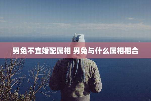 男兔不宜婚配属相 男兔与什么属相相合