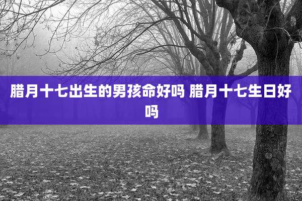 腊月十七出生的男孩命好吗 腊月十七生日好吗