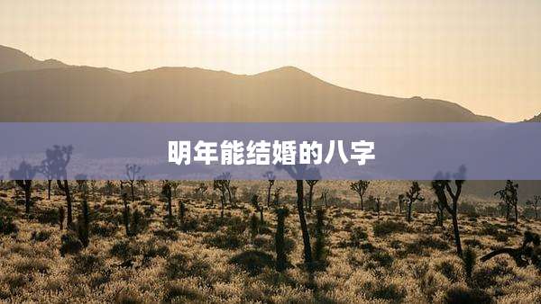 明年能结婚的八字