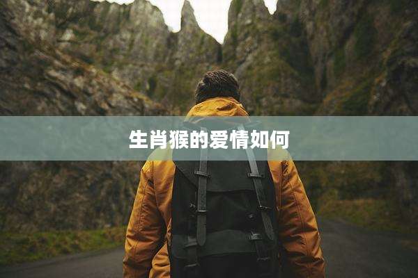 生肖猴的爱情如何