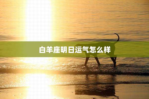 白羊座明日运气怎么样