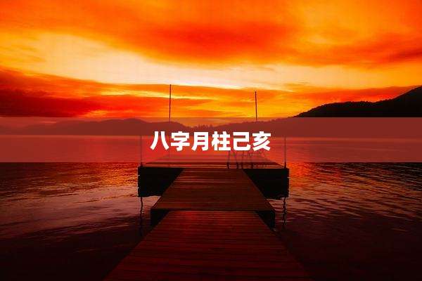 八字月柱己亥