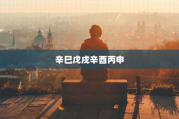 辛巳戊戌辛酉丙申