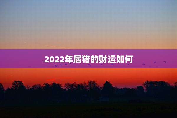 2022年属猪的财运如何