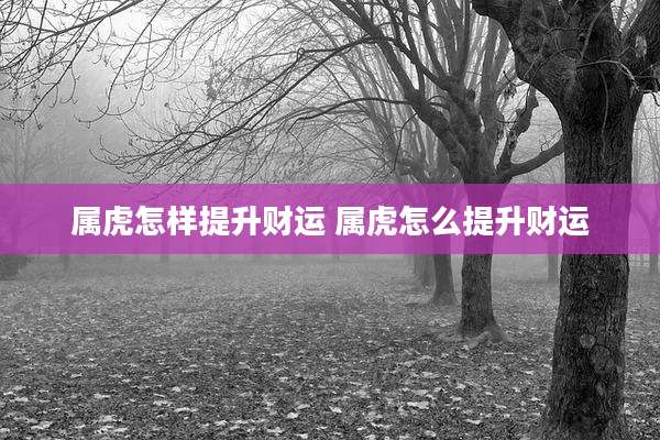 属虎怎样提升财运 属虎怎么提升财运