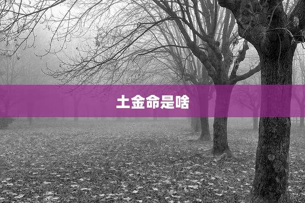 土金命是啥