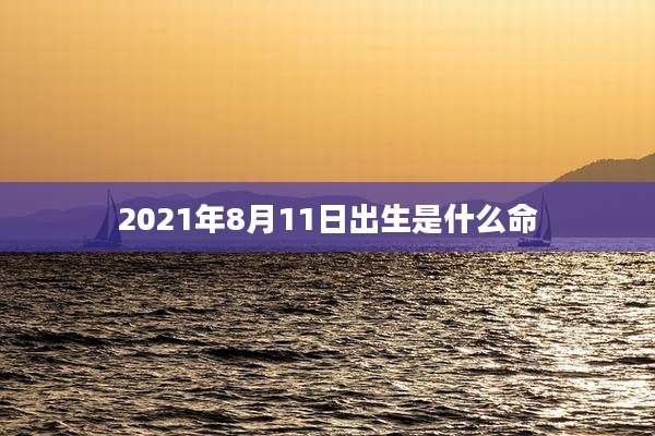 2021年8月11日出生是什么命
