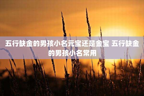 五行缺金的男孩小名元宝还是金宝 五行缺金的男孩小名常用