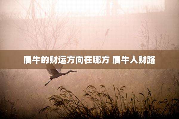 属牛的财运方向在哪方 属牛人财路