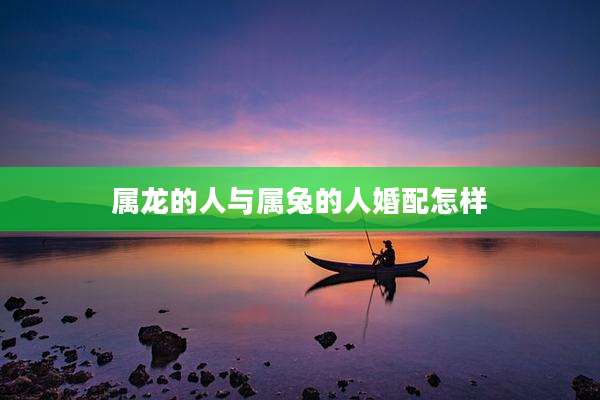 属龙的人与属兔的人婚配怎样