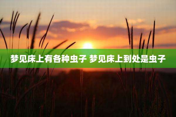梦见床上有各种虫子 梦见床上到处是虫子